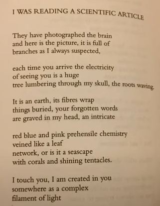 A photographed book page: Margaret Atwood's poem, I Was Reading a Scientific Article.